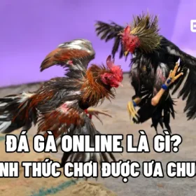 Đá gà online