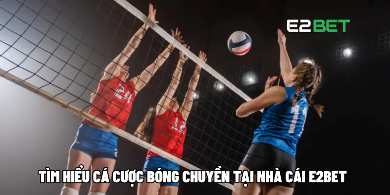 Cá Cược Bóng Chuyền: Hướng Dẫn Tham Gia Toàn Thắng Tại E2BET 2 Tìm hiểu cá cược bóng chuyền tại nhà cái E2BET